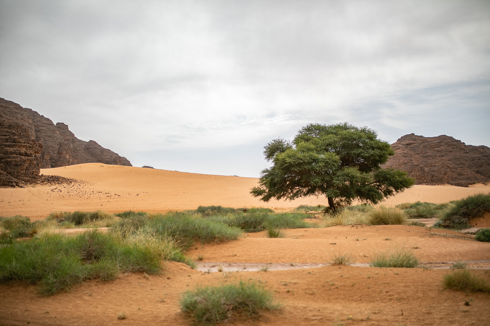 Human & Nature  outoftime 113